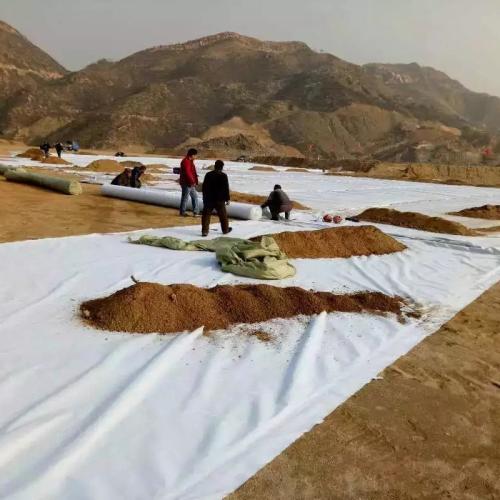 养护撸撸片在线价格