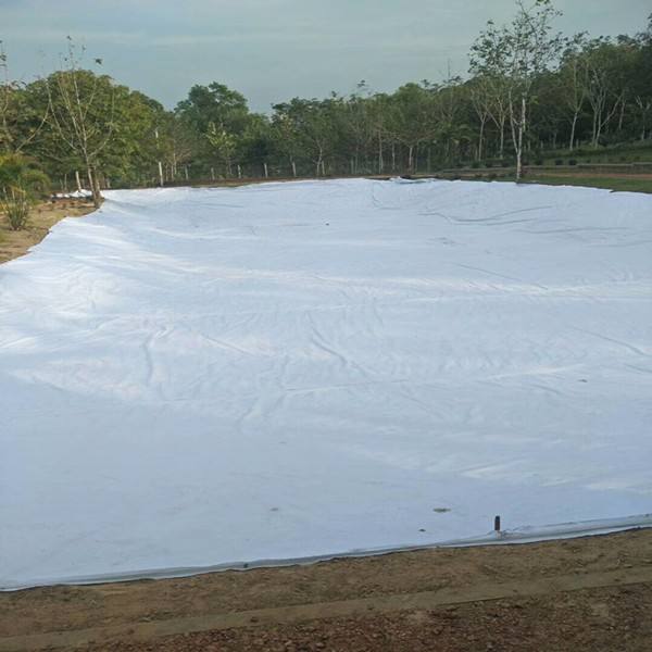 公路养护  沥青道路专用撸撸片在线