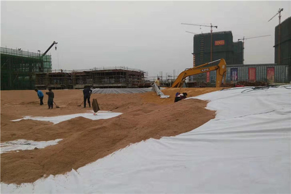 反滤撸撸片在线有什么特点