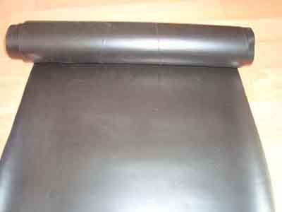 EVA色撸撸在线免费视频